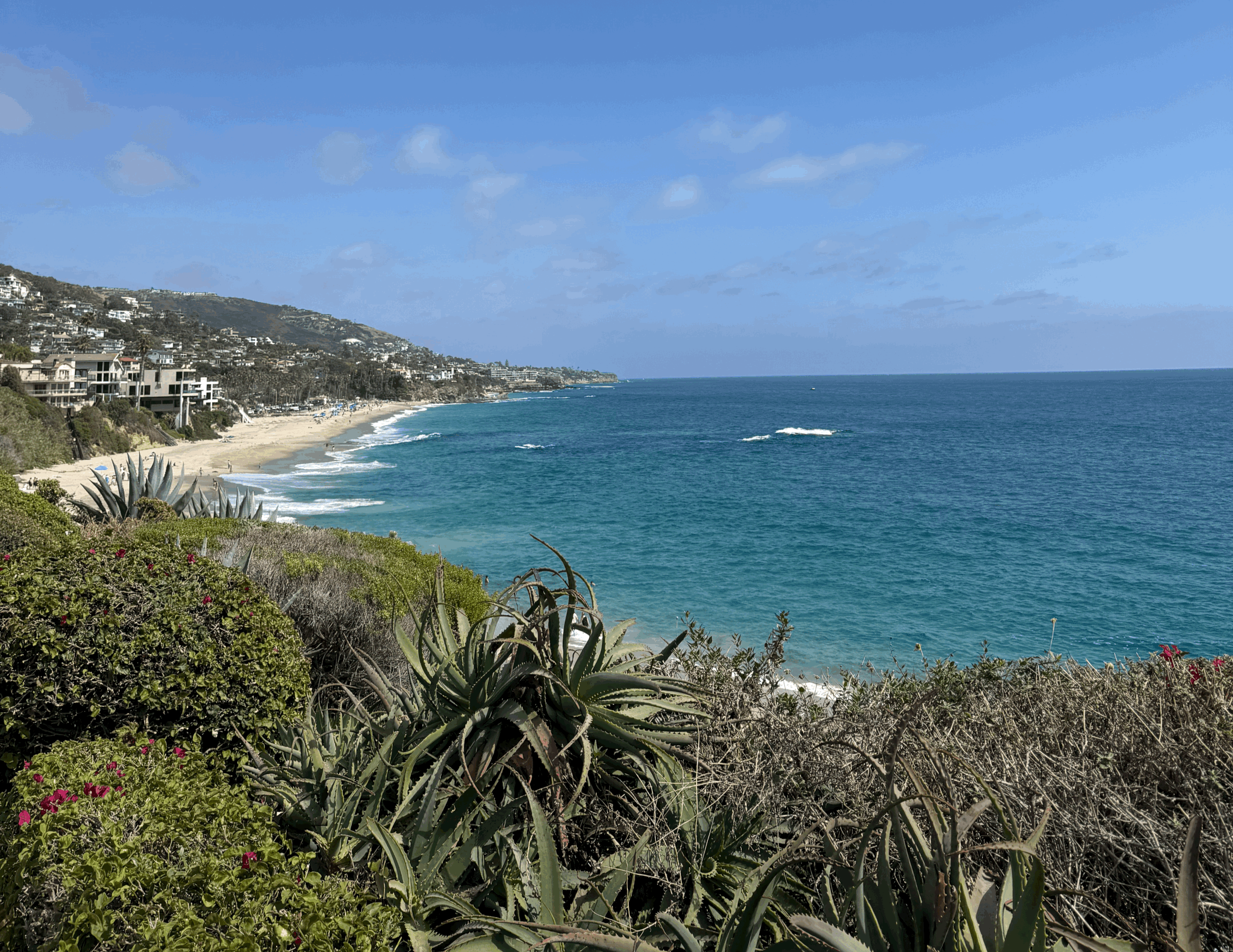 Best Beaches For Kids in Laguna Beach 