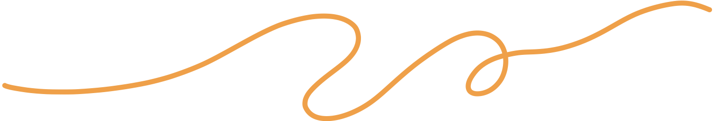 Decorative, wavy, orange line graphic on a transparent background.
