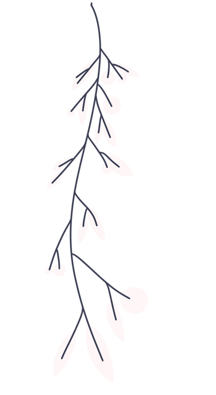 A minimalist illustration of a small branch with oval-shaped leaves and round berries hanging from a dark stem.