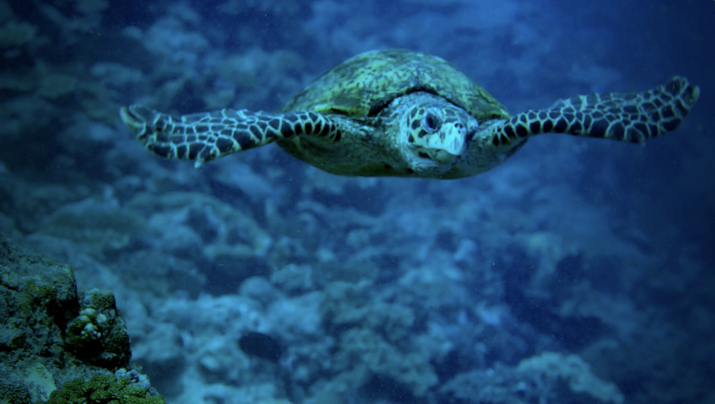 Screenshot 2026-03-18 at 3.27.17 pm.png