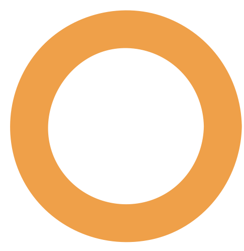 Orange circular ring with a black center