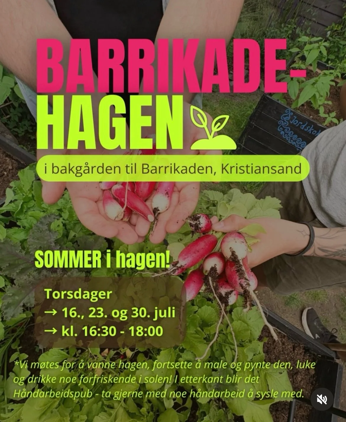 Blir ikke bedre torsdag enn dette🤭