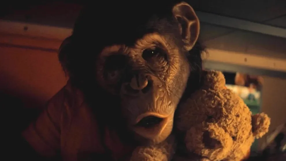 Primate-2025-Ben.webp