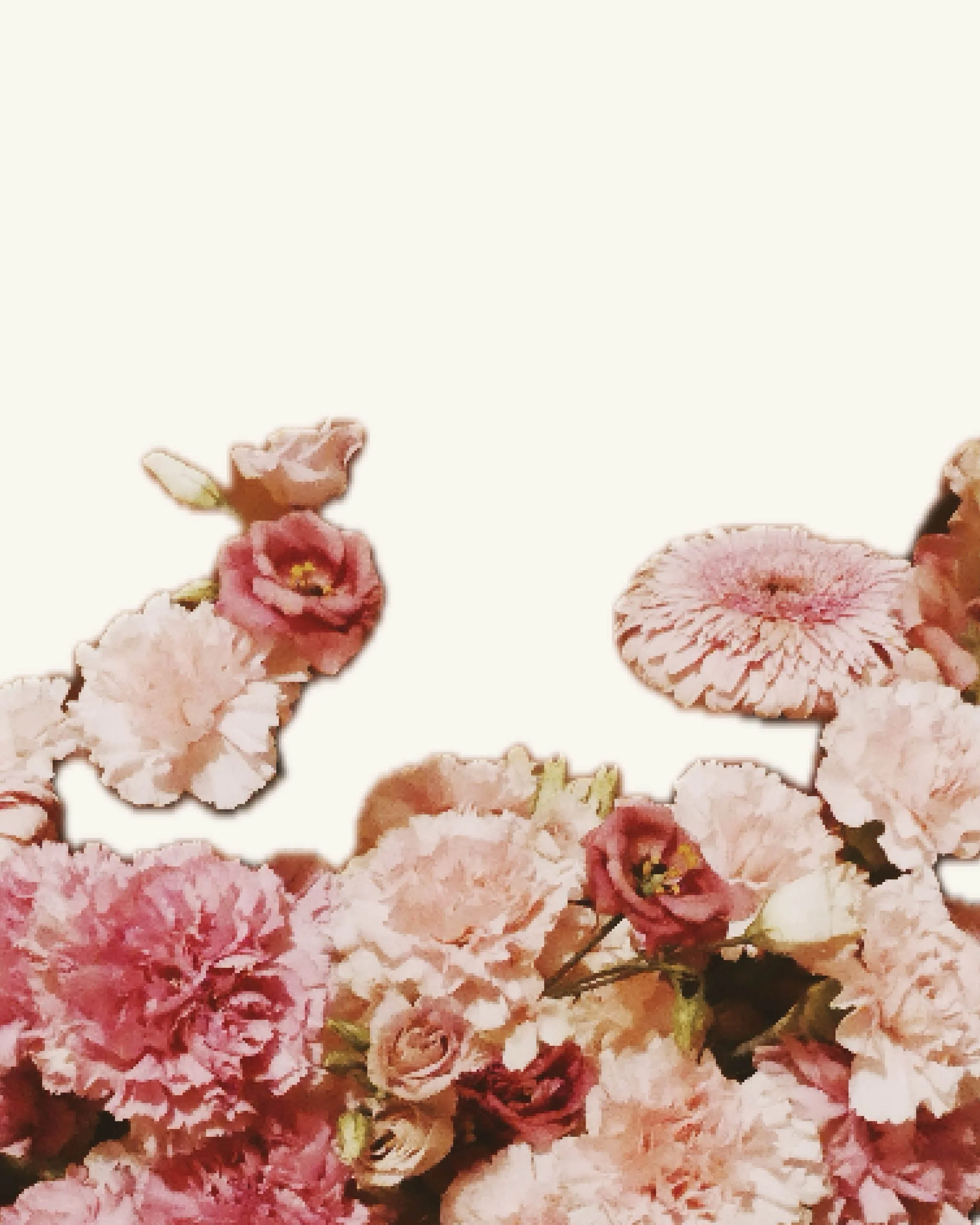 Valentines Day 202612.jpg