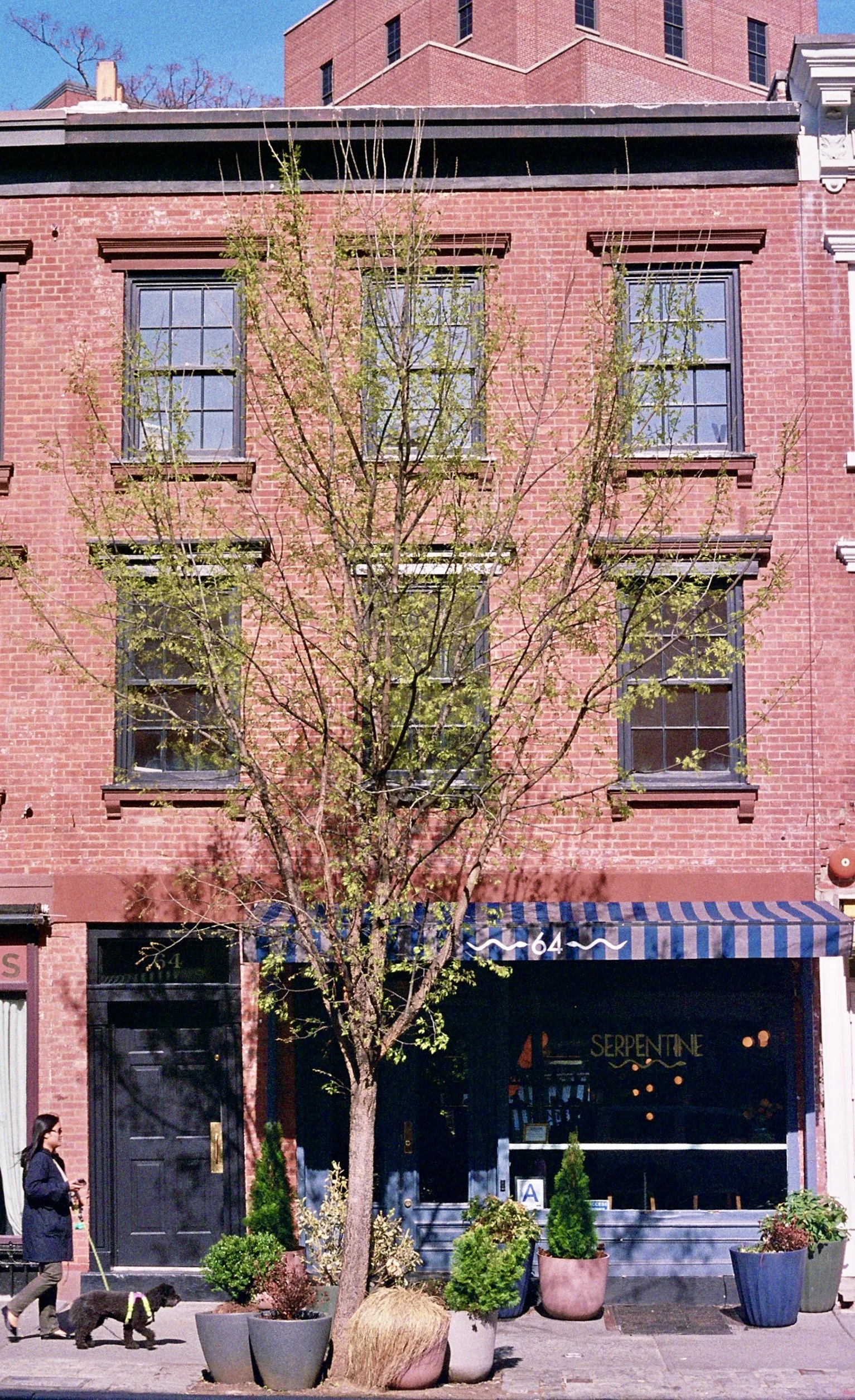 64 Greenwich Avenue