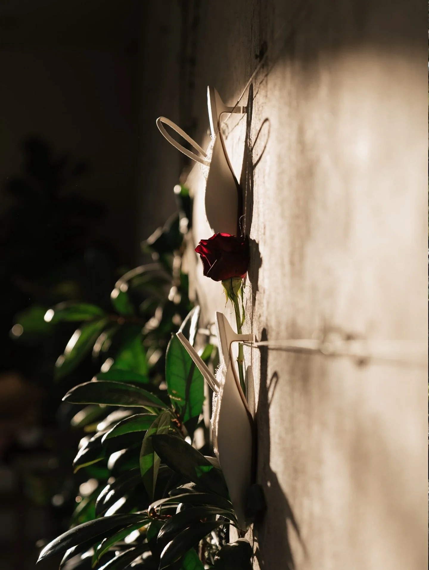 ✨ The Details ✨

The pieces you plan so carefully. The textures, the stationery, the florals, all the things that make the day feel yours. 

F &amp; T&rsquo;s details at their beautiful winter wedding at @middletonlodge were effortlessly timeless.

A