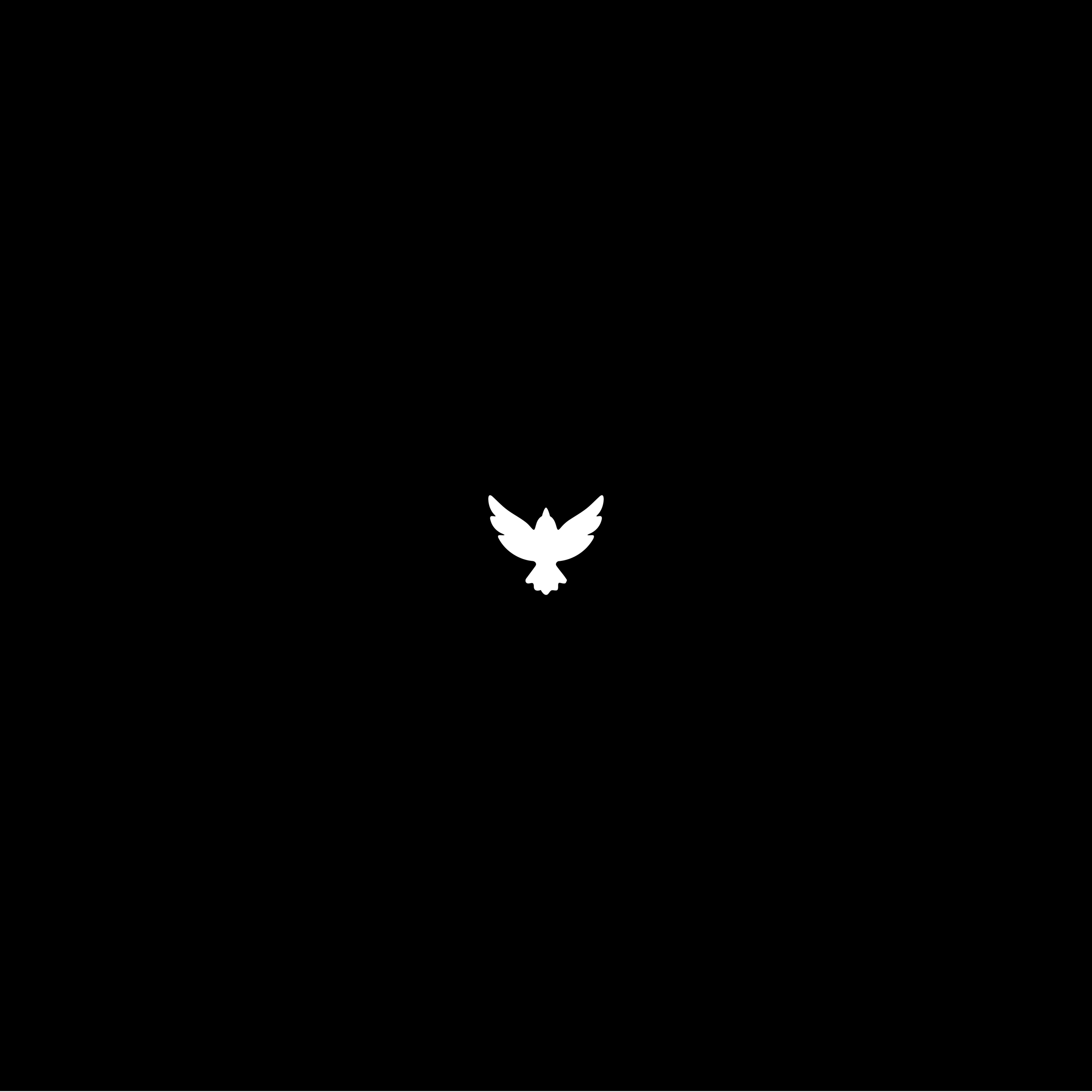flydays-01.png