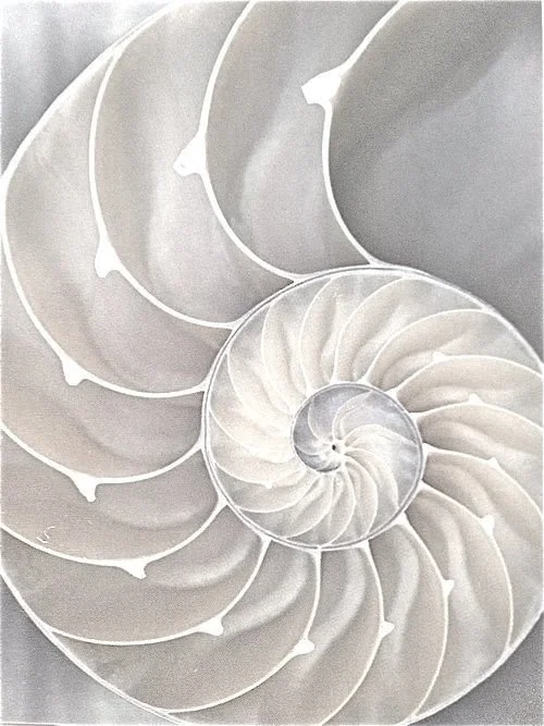 Deep Healing Ceremony (2-3 hr)