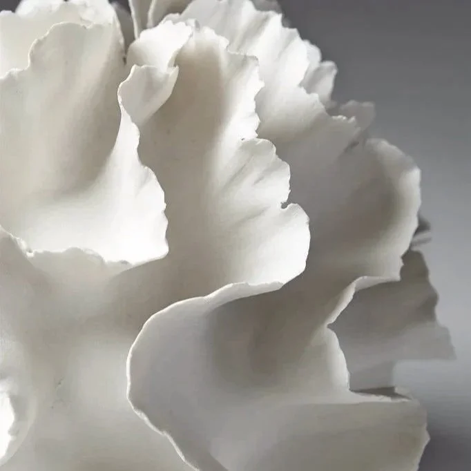 Sacred Medicine Journey