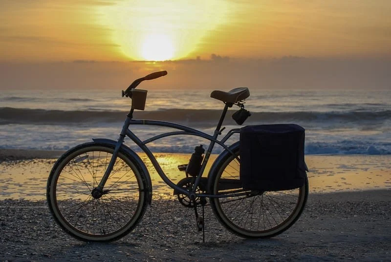 Amelia River to Sea Trail