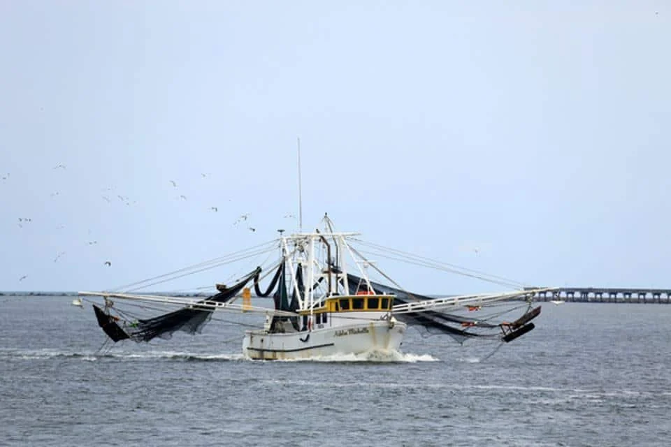 Net Maker to the World - Part III in a Series of VII