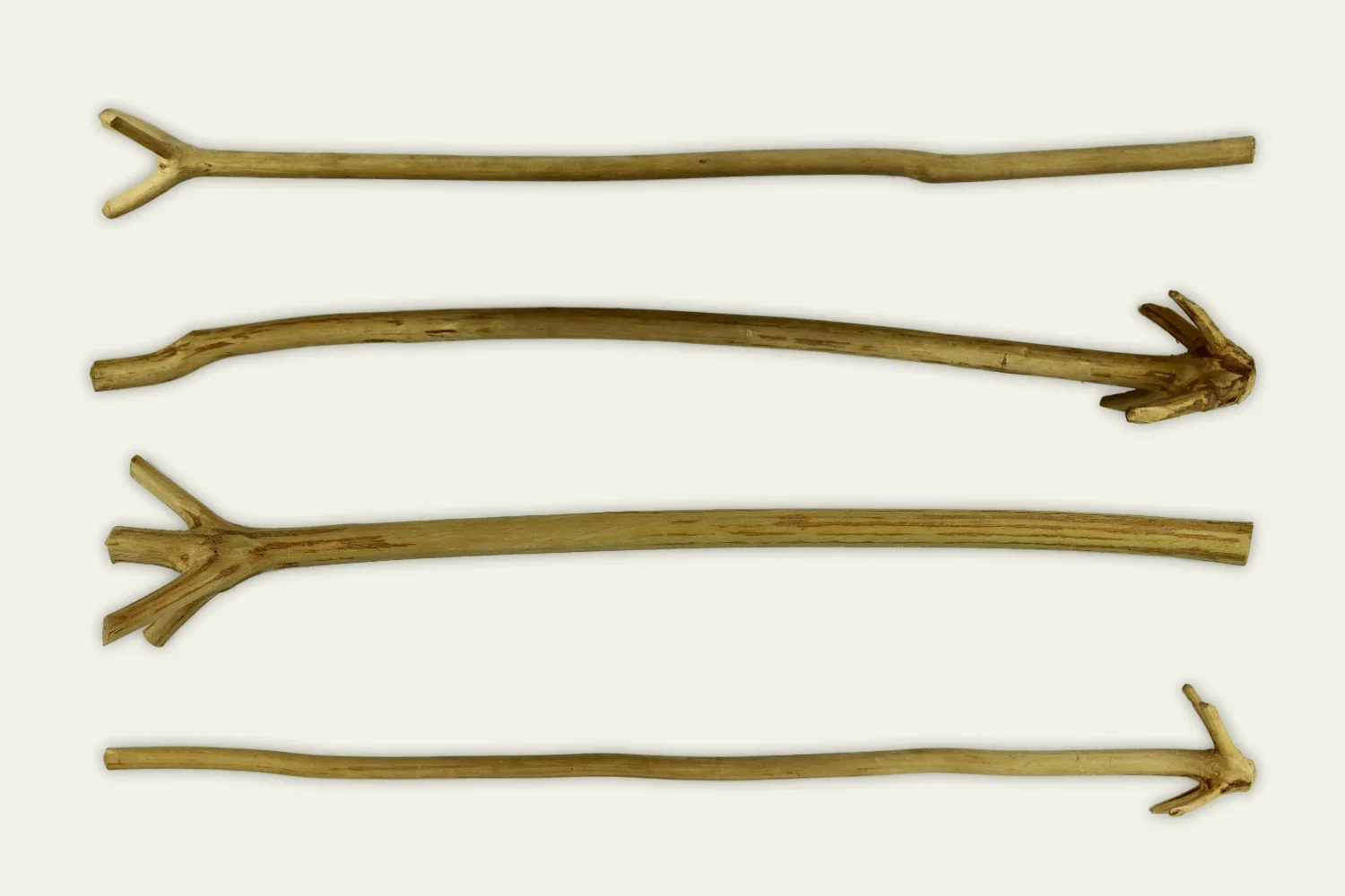 Chicoli: Precursor del molinillo