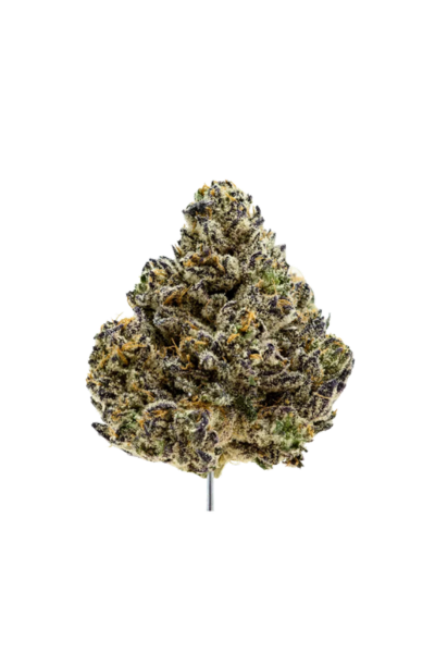 Close-up of a cannabis bud on a stick, showing frosty trichomes and purple-green coloring.