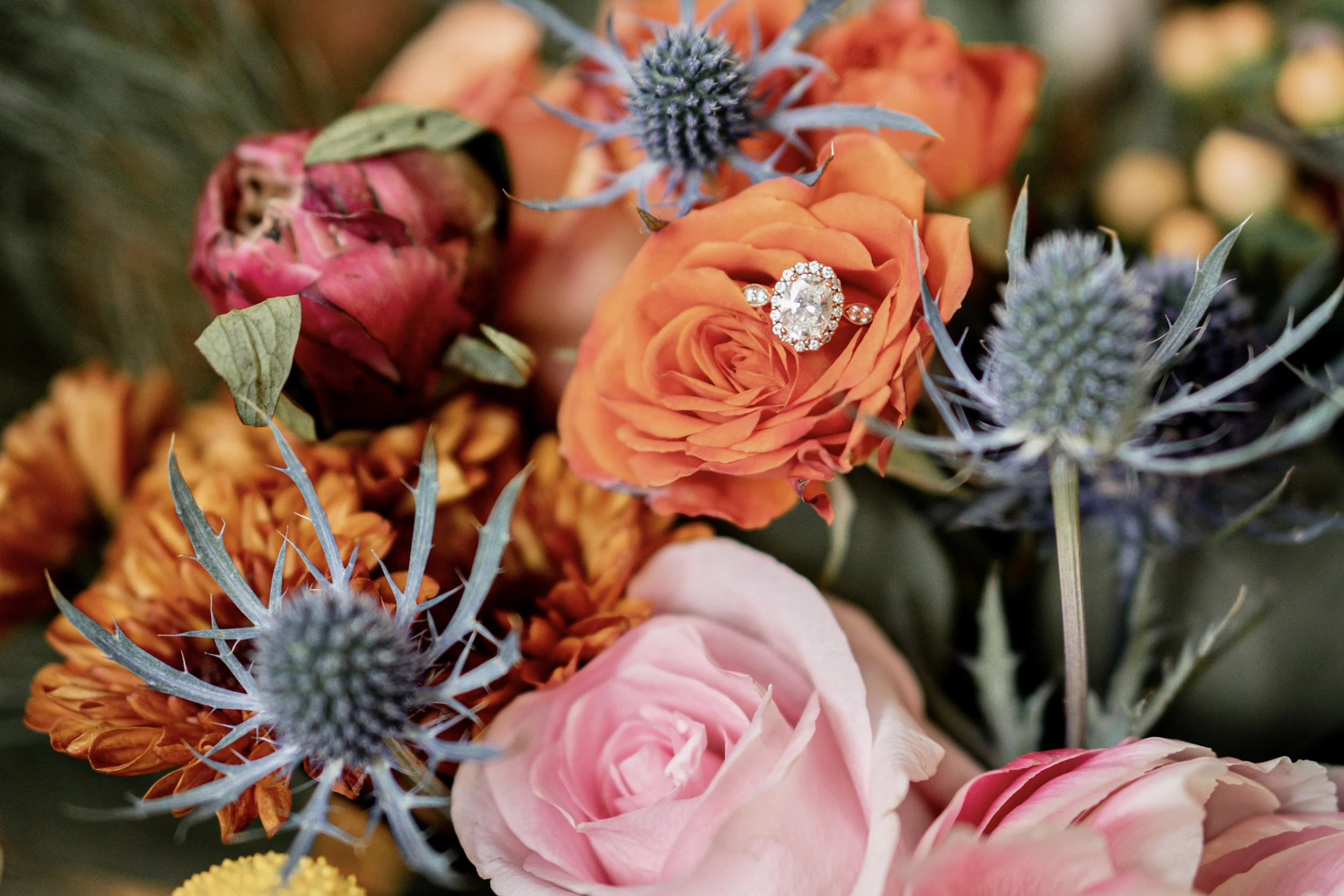 Close-up of a bouquet of flowers including orange roses, pink roses, a red pomegranate flower, and blue thistle with an engagement ring placed on the orange rose.