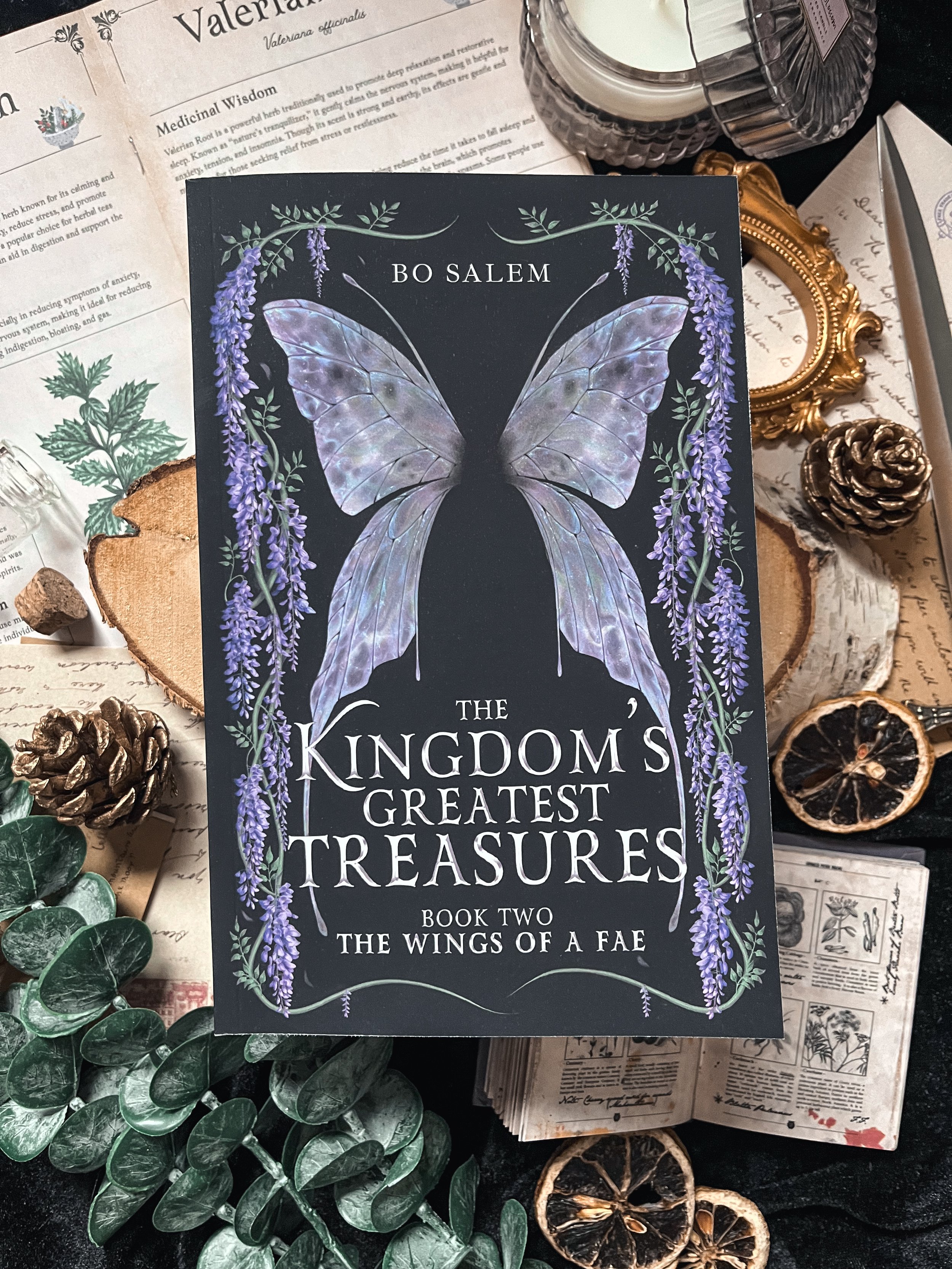 THE KINGDOM'S GREATEST TREASURES - THE WINGS OF A FAE - book two - paperback