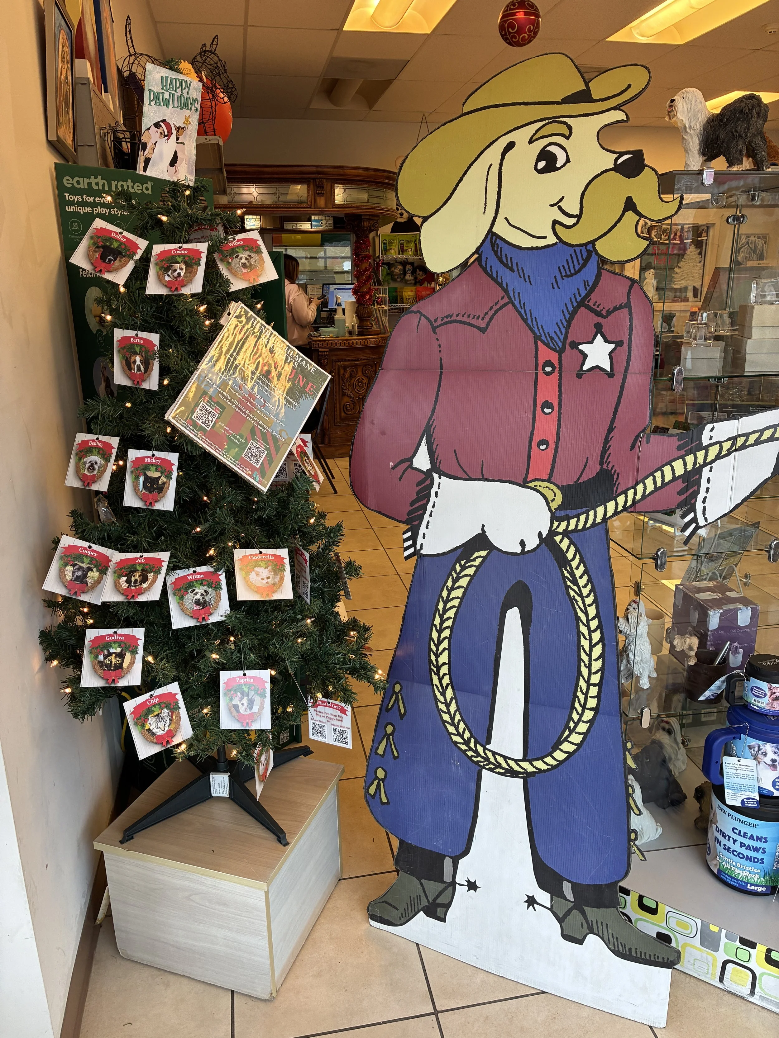 Dude Ranch Wishbone Tree 2025.JPG