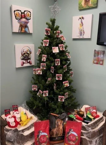 Wellsley Wishbone Tree.JPEG