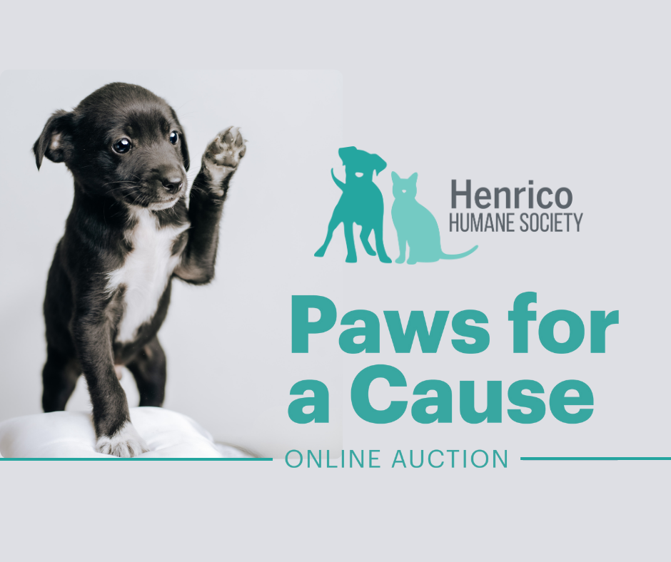 Paws for a Cause Online Auction