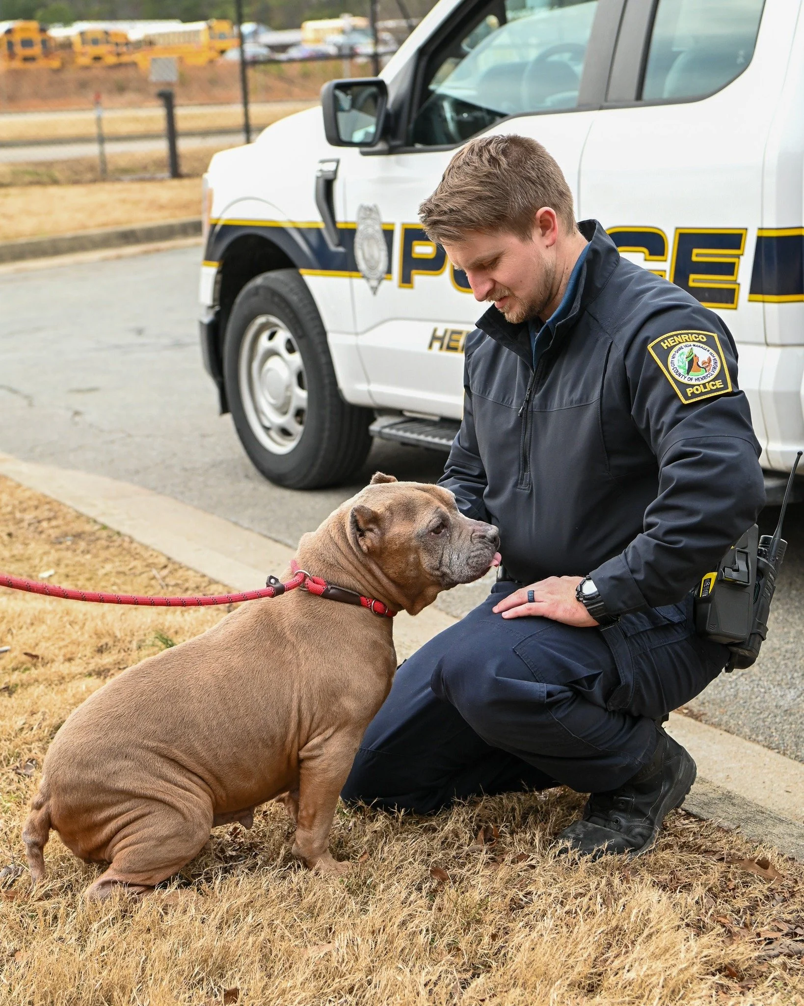 Shelter Adoption Event