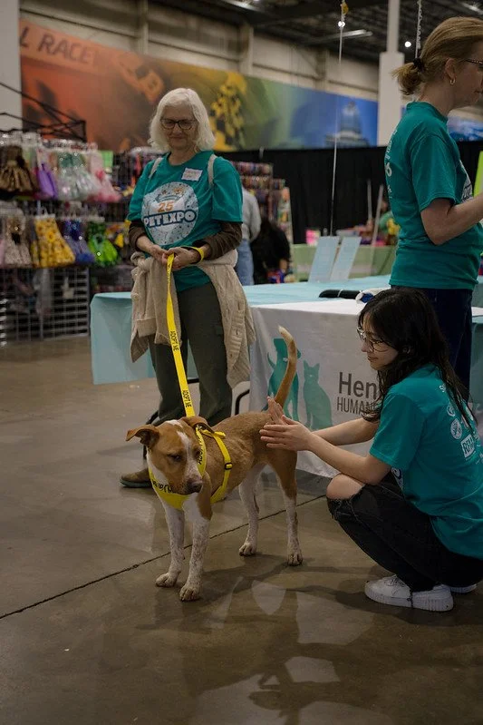 Carolyn with Adoptable Dog.jpg