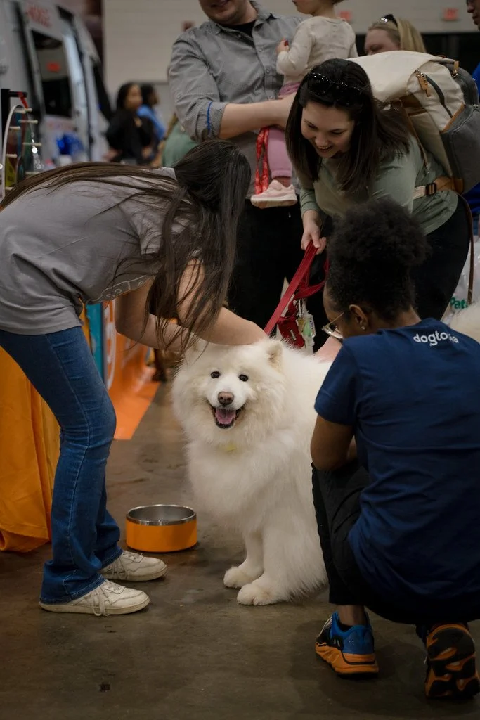Happy Fluffy Dog - Expo 2026.jpg