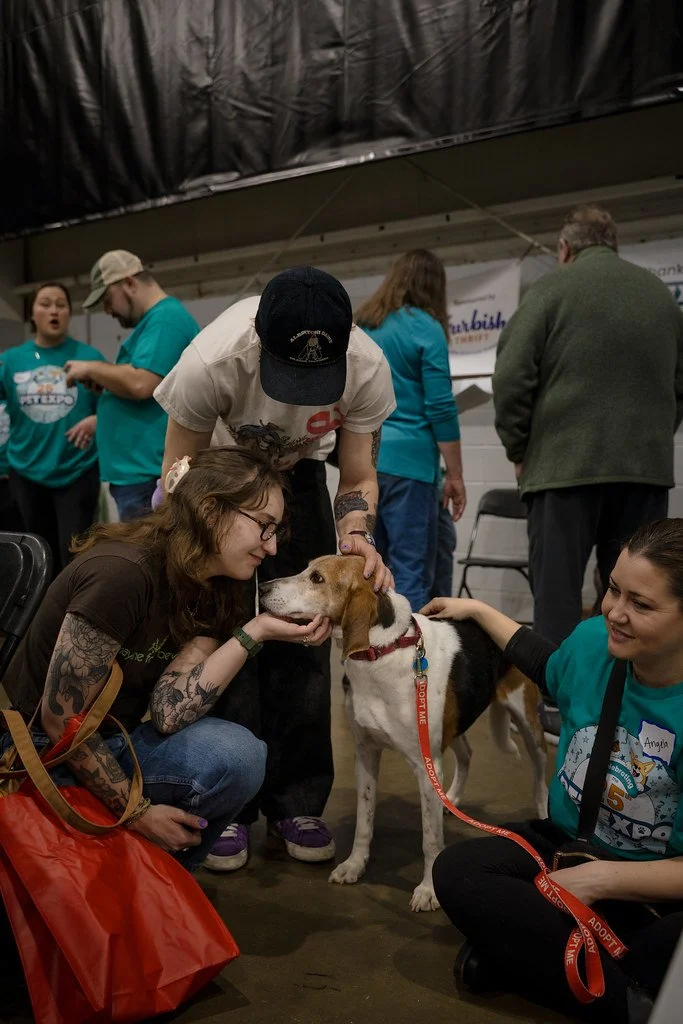 Sweet Lily at Expo 2026.jpg