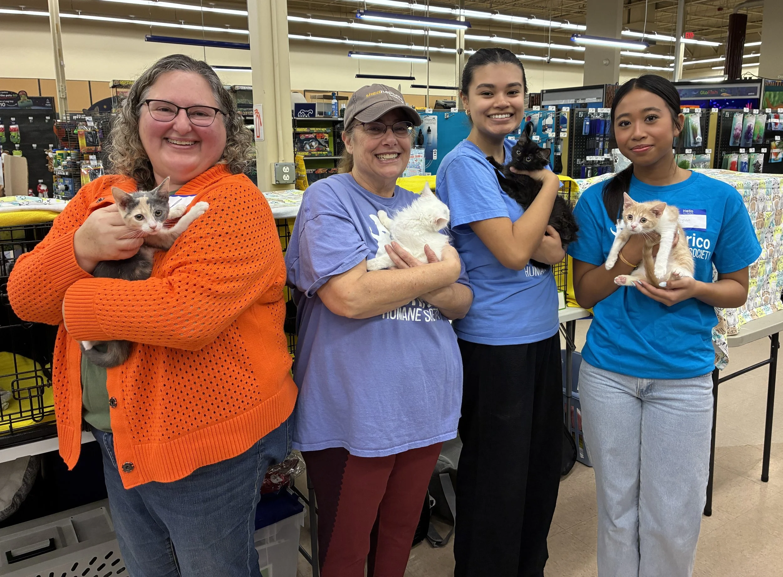 Cat &amp; Kitten Adoption Event