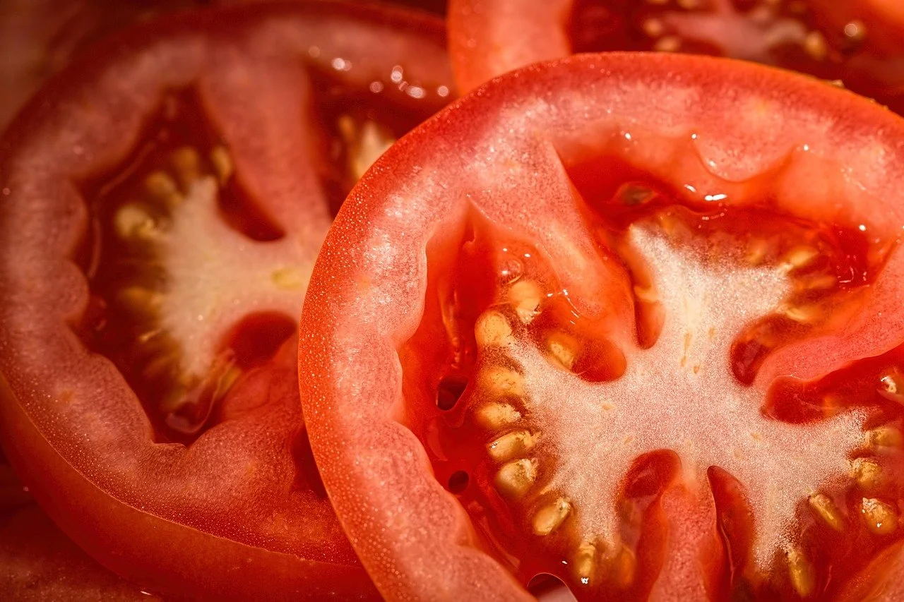 Fresh Tomatoes!