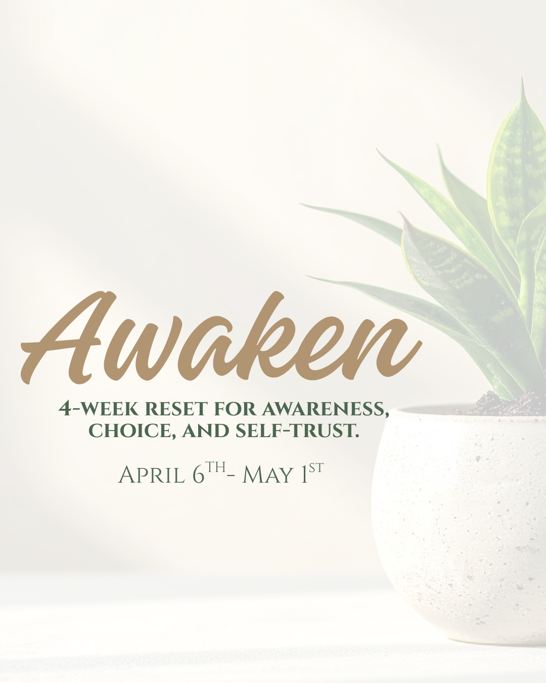 AWAKEN: A 4-Week Reset for Awareness, Choice & Self-Trust