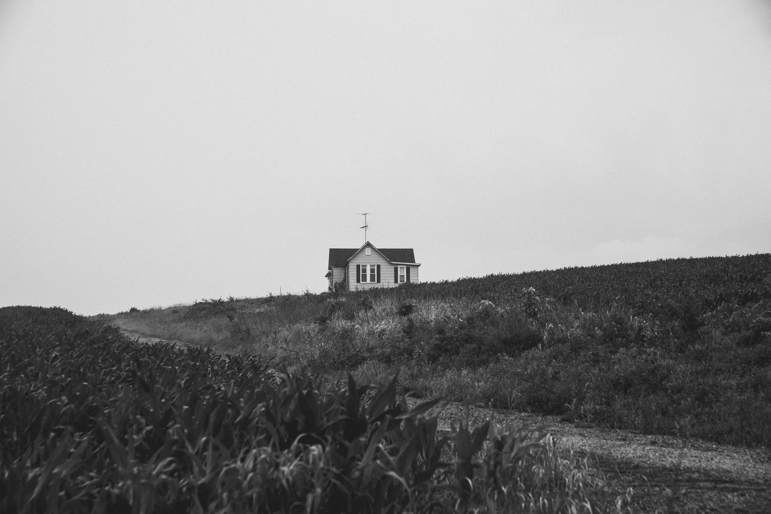 DSC09666-2.JPG