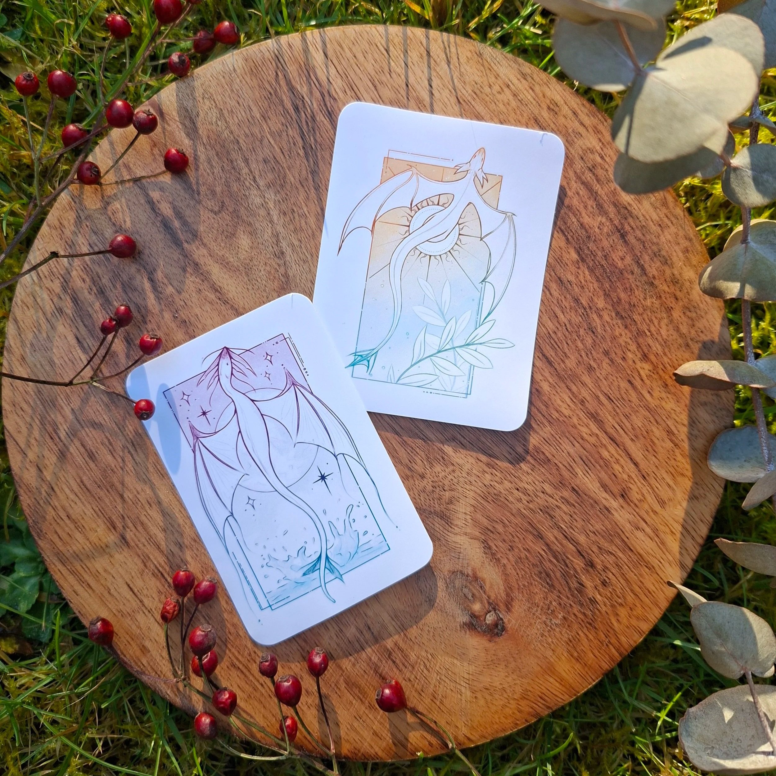 framed nature, flora & fauna ◆ sticker