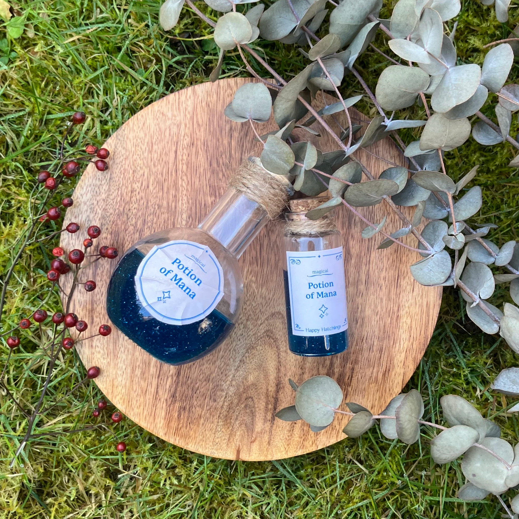 potion of mana ◆ mana potion