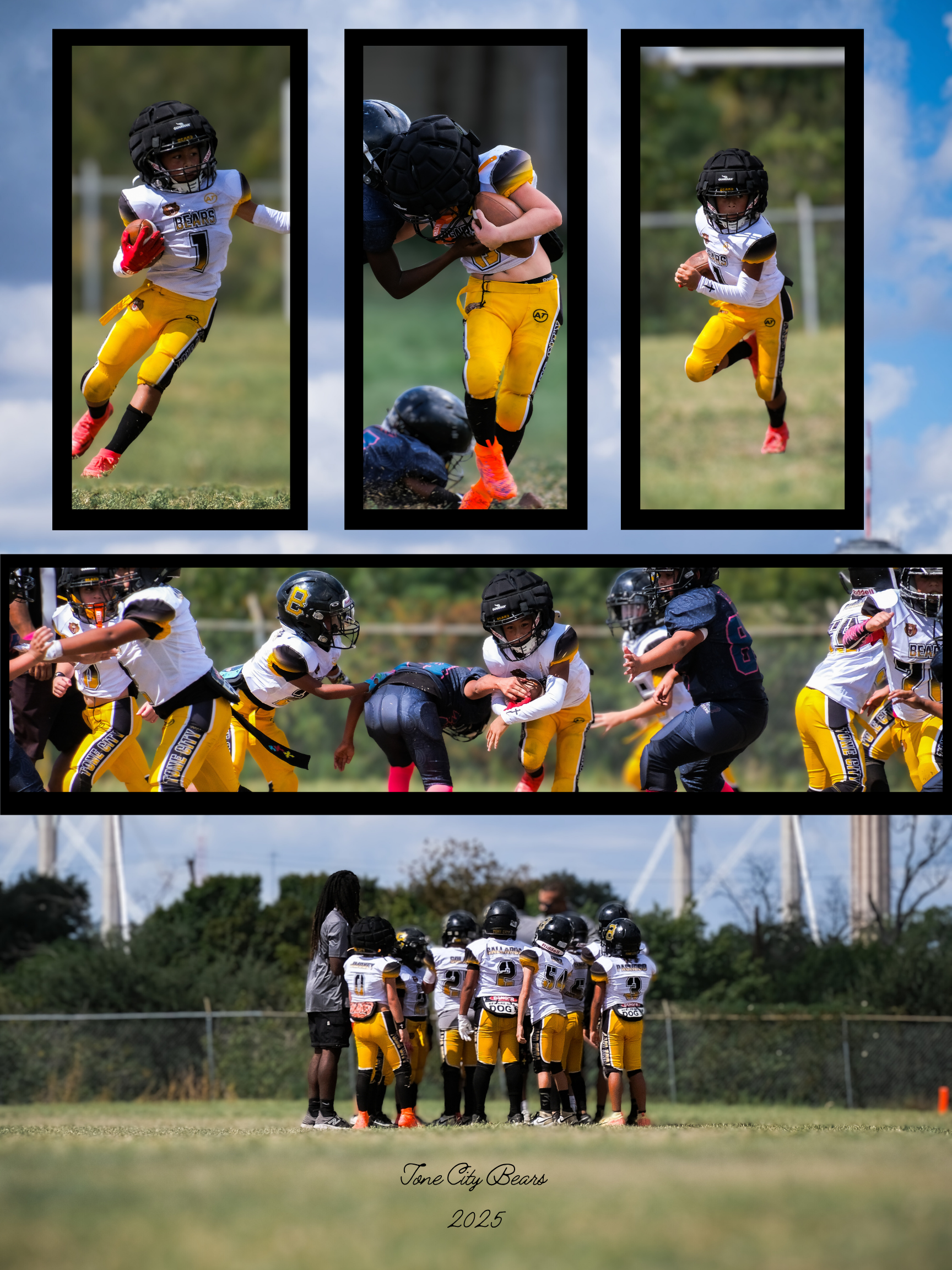 Tone City Bears 2025.png