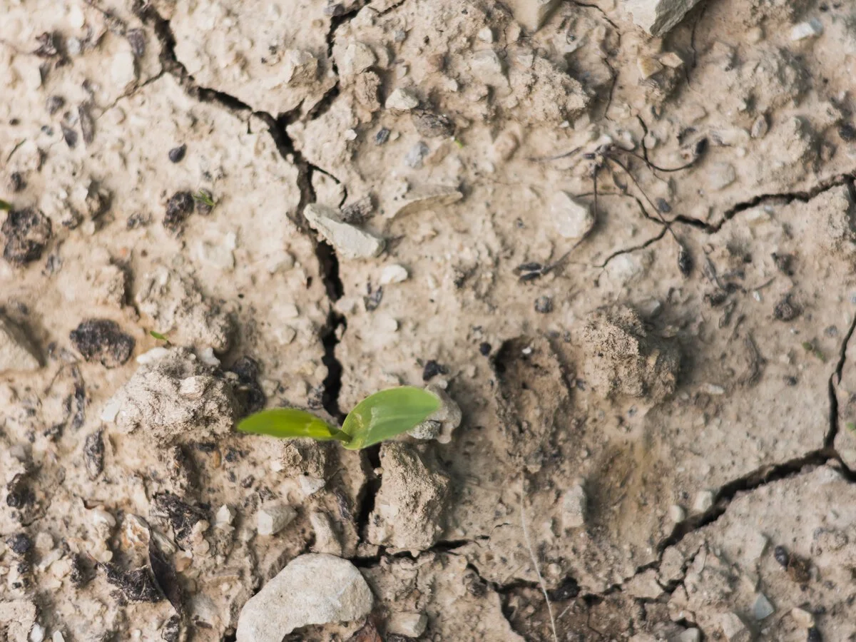 Abstract image representing emotional defensiveness and self-protection during relationship conflict