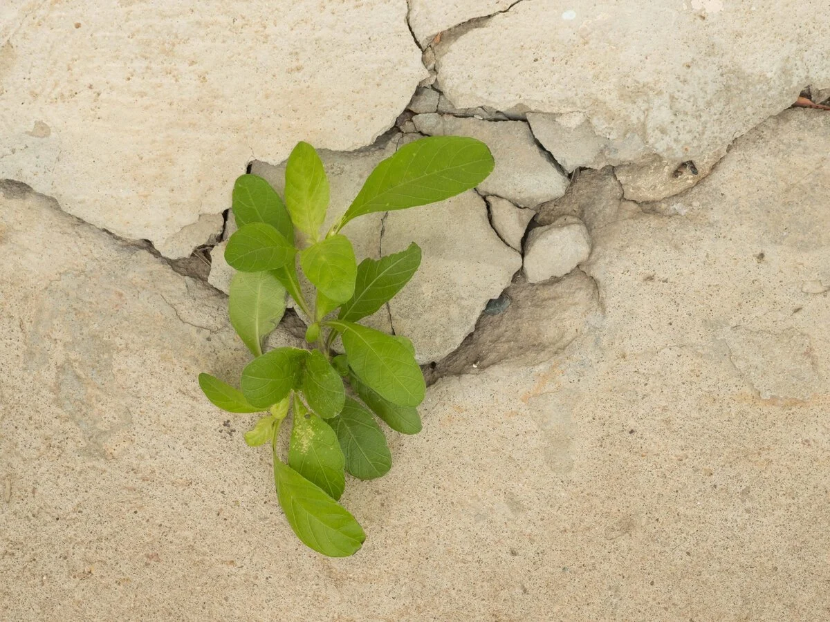 Abstract image representing emotional flooding and intensity beneath anger in close relationships