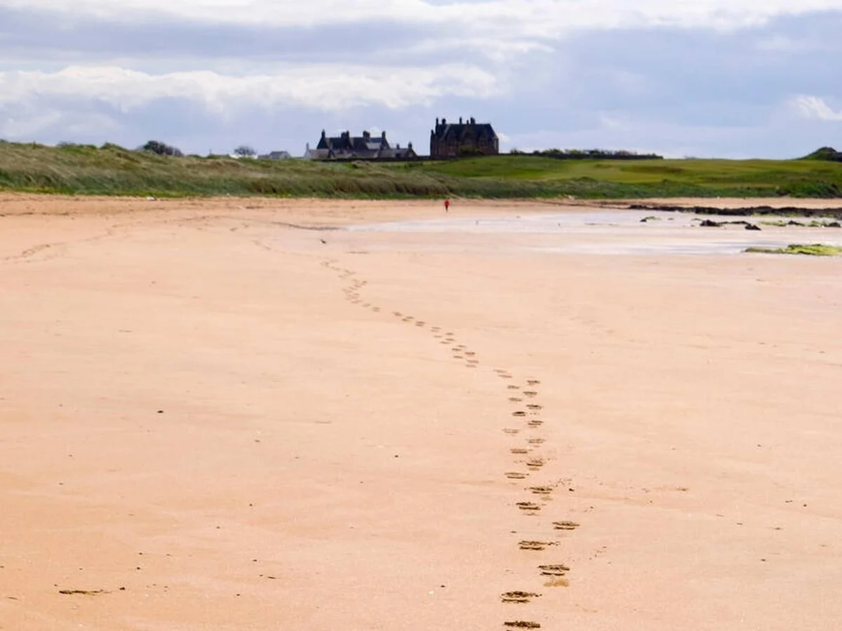 Footsteps in sand symbolizing a repeated conflict cycle in a relationship