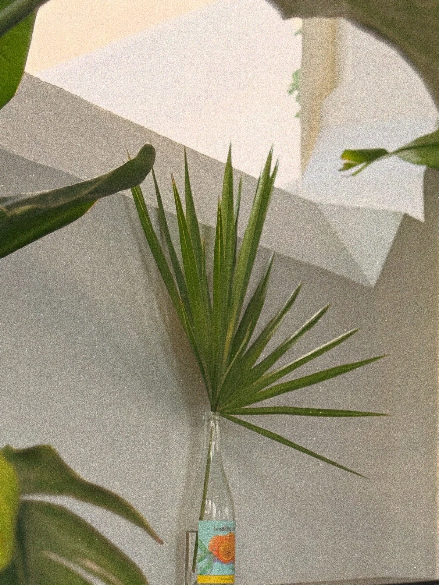 D8266A01-96A0-4EF3-B127-4C4D27F0E223 2.JPG