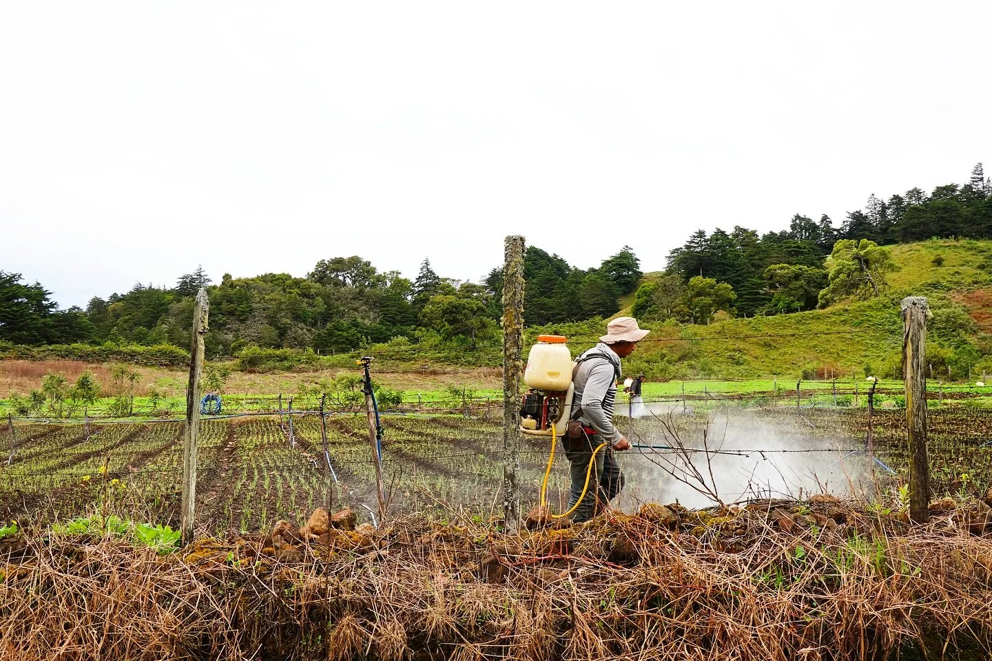 Don&rsquo;t panic it organically, one of my favourite things when travelling is the privilege to see the passion, dedication and hard work people put into their work. That sense of purpose and contentment that people who live close to land have is so