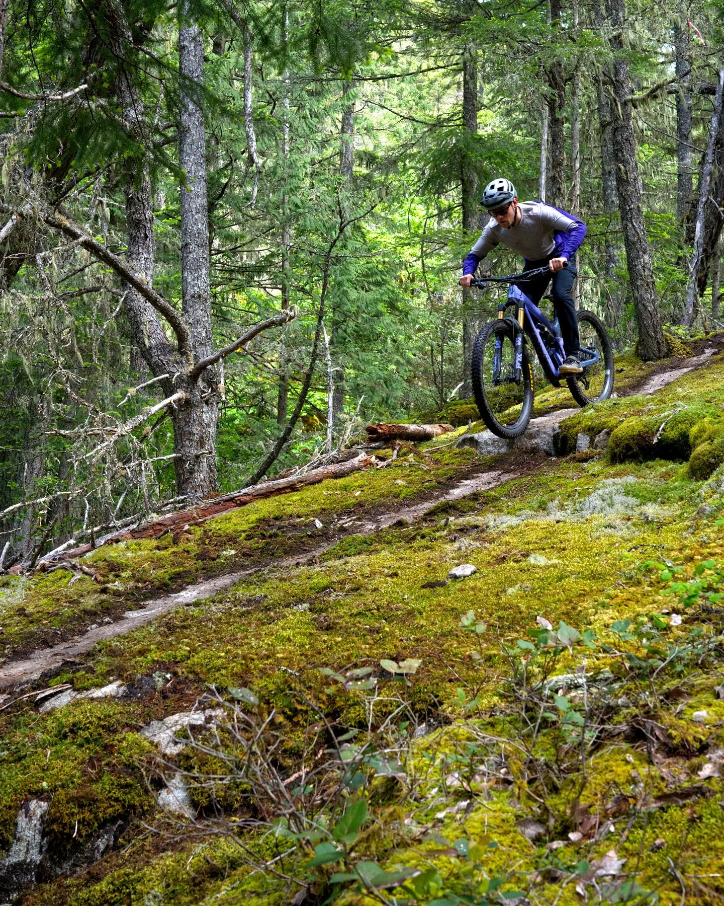 some more from staff ride this week such a great time thank you guys.
@gareth_williams_  riding his #ibishd6  in is @7mesh kit 🥳.
.
.
.
.
.
.
@mountainexposure #mtb #mtnx  #bikeride #squamish #canada #ibisowners #sendit