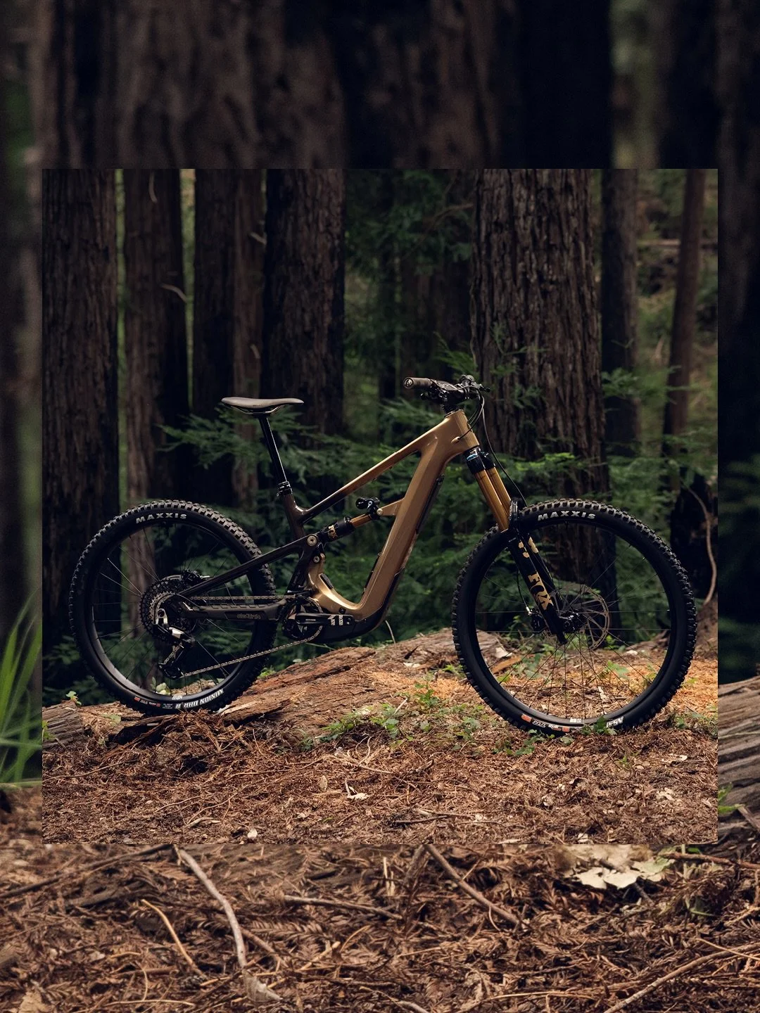 One ebike frame, three personalities. Meet the all-new Ibis Oso. 

Choose between the Oso HD, TR and S travel classes to adapt with your terrain and riding preferences. 

Featuring adjustable chainstay lengths and optimal 29 or 27.5 inch tires, there