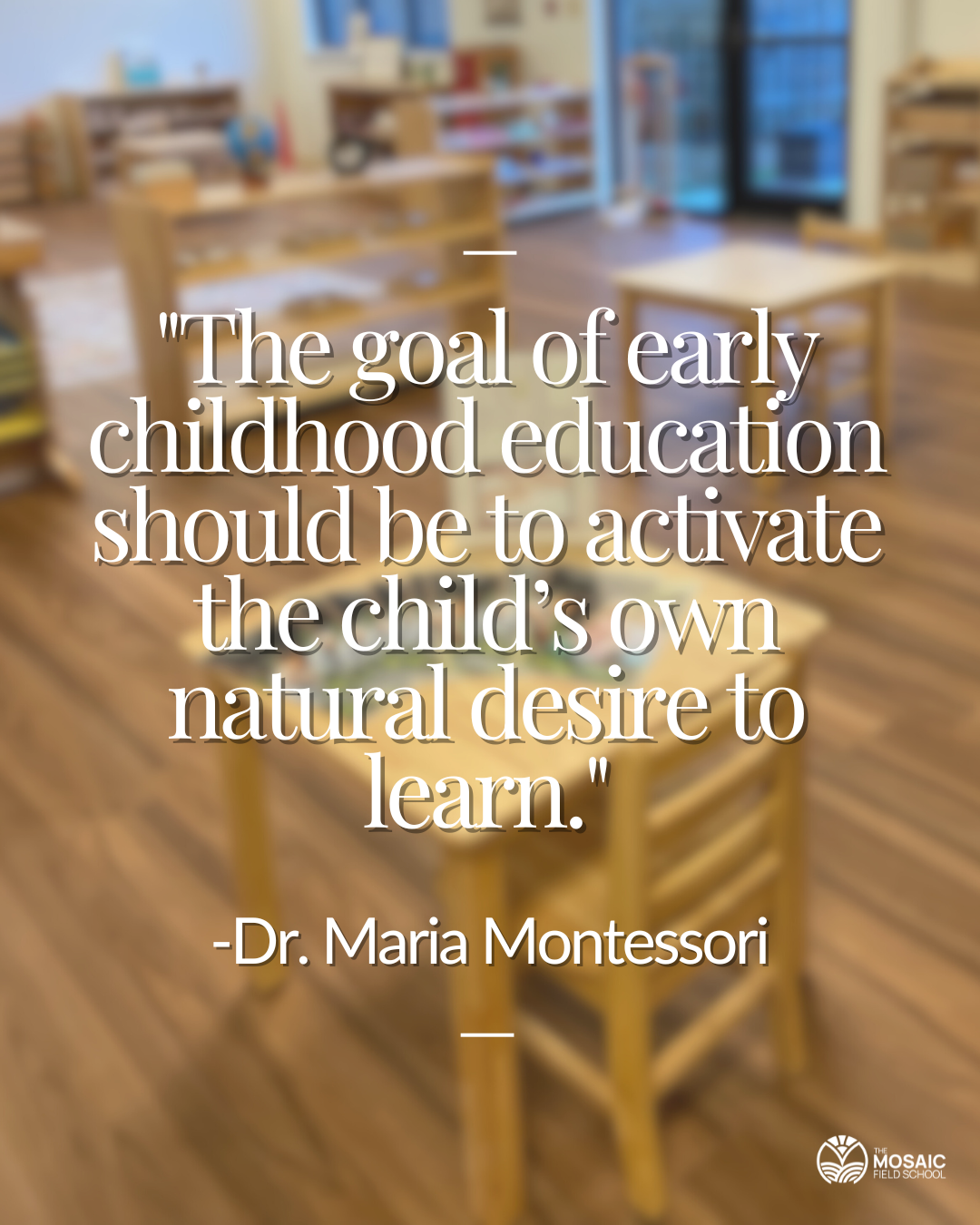 Why AMI/USA Recognition Matters—And What It Means For Adolescents At The Mosaic Field School