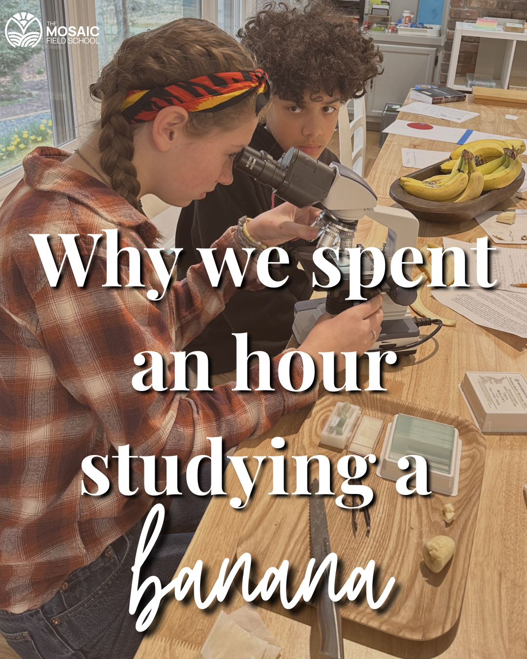 From Banana to Breakthrough: What Real Academic Rigor Looks Like at The Mosaic Field School