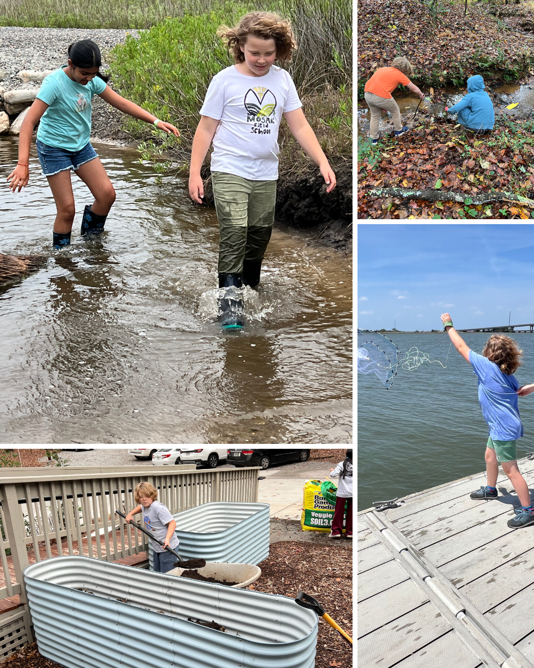 Montessori Nature-Based Field School in Suwanee, GA: A Parent’s Guide from Preschool to High School
