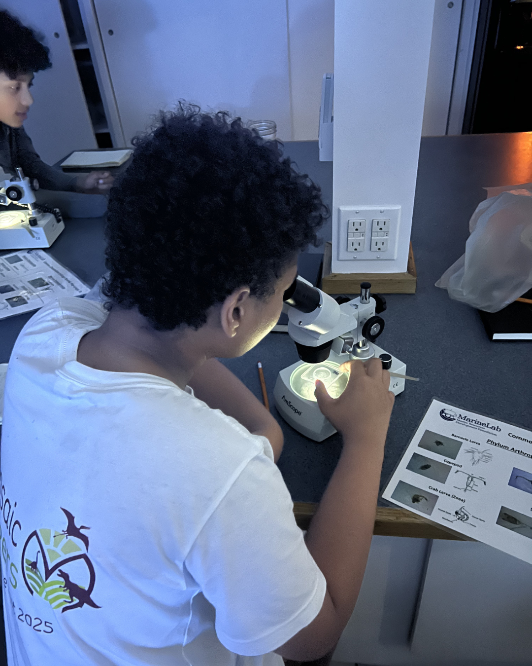 A teen engaging in meaningful work looking through a microscope at specimens from the ocean during a trip to Marine Lab in Florida
