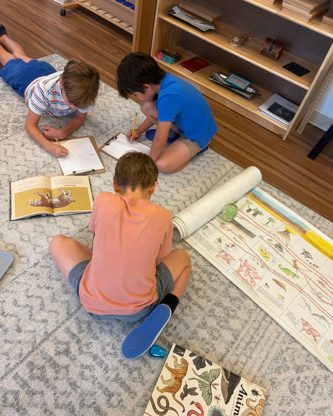 Elementary students researching a question together in The Grove at The Mosaic Field School.
