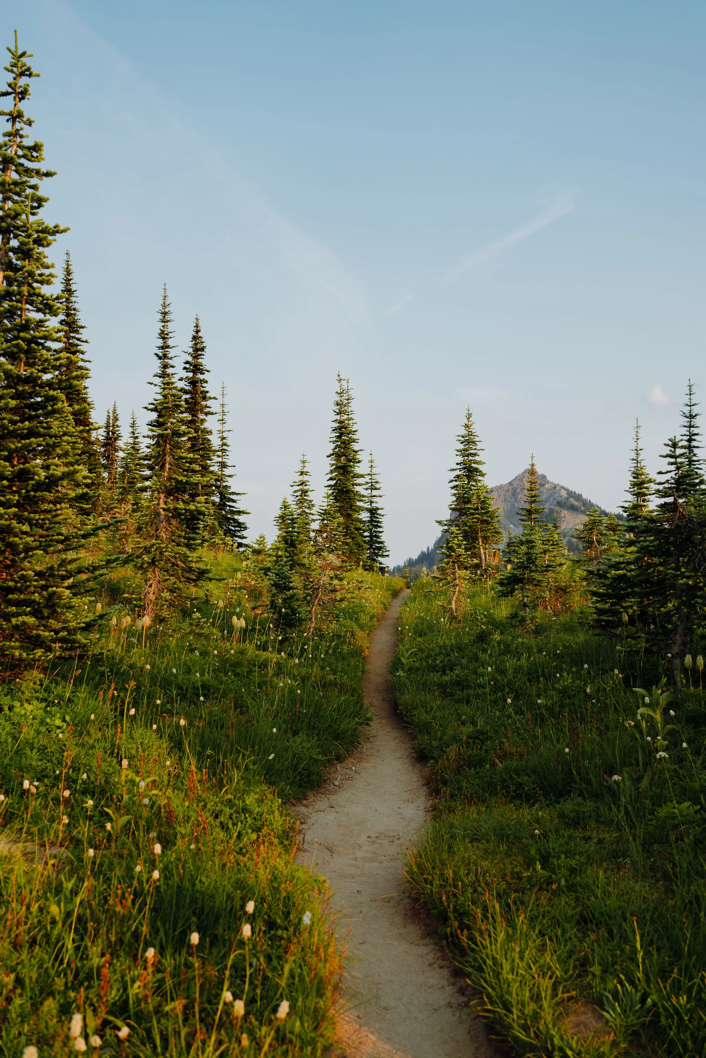 A narrow dirt trail through a lush green forest with tall pine trees, leading towards a distant mountain peak under a clear blue sky.