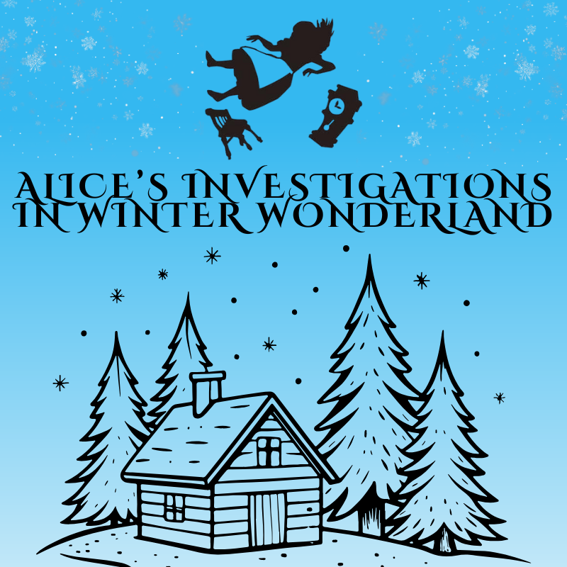 Alice's Investigations in Winter Wonderland