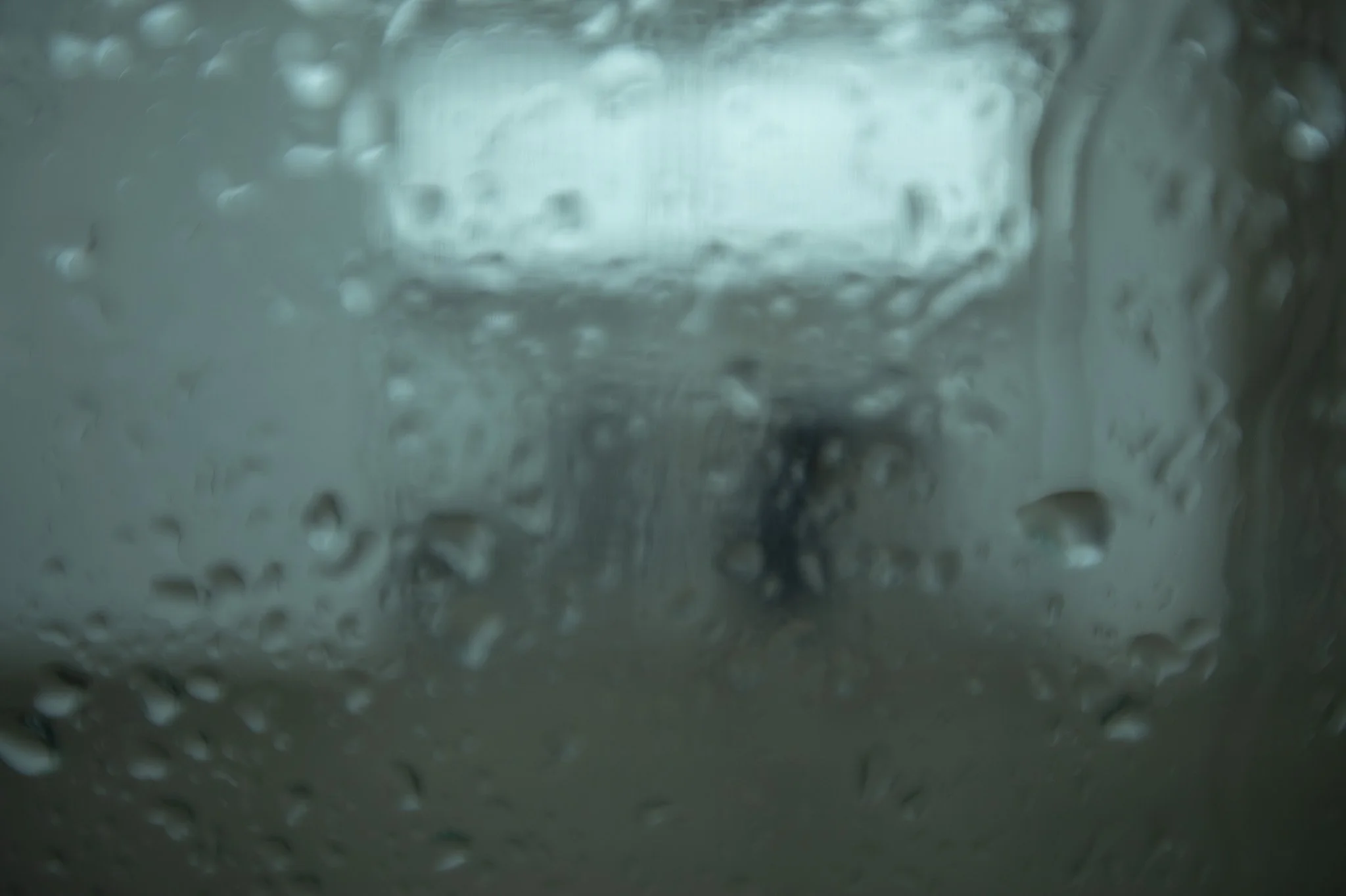 _05A1826.jpg