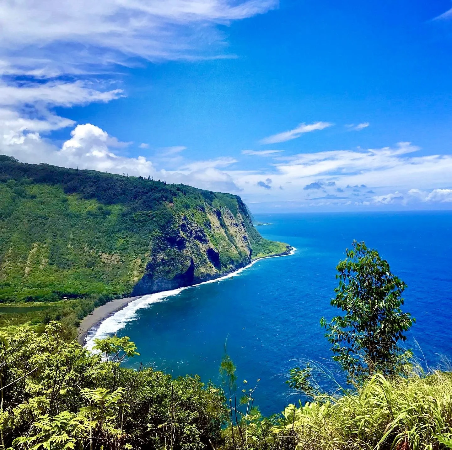 A scenic view of Waipio Valley, a lush green cliffside overlooking a blue ocean with a small beach at the base, under a partly cloudy sky.