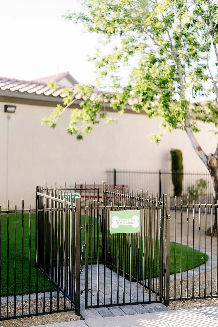 apartmentos dog park